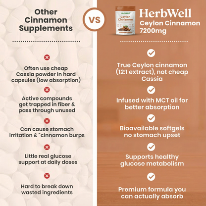 Ceylon Cinnamon 7200mg Equivalent with MCT Oil