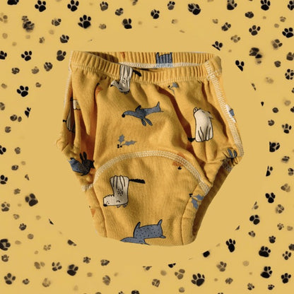 JoyBloom® Potty Training Designed Underwear